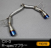 CX-3 R-spec�}�t���[