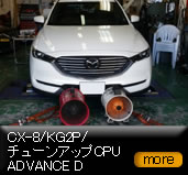 CX-8/KG2P/�`���[���A�b�vCPU ADVANCE D
