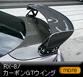 �J�[�{��GT�E�C���O