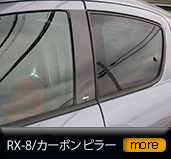 �J�[�{���s���[