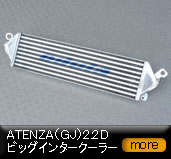 �A�e���U�iGJ)2.2D�r�b�O�C���^�[�N�[���["