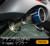 �A�e���U(GJ2FW)