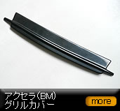 �A�N�Z���iBM)�O�����J�o�[