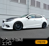 �A�N�Z���iBM)�G�A��