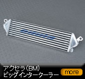 �A�N�Z���iBM)�r�b�O�C���^�[�N�[���[