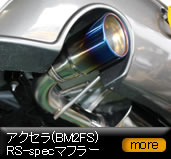 �A�N�Z��(BM2FS) RS-spec�}�t���[