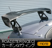 ���[�h�X�^�[(NCEC)�J�[�{��GT�E�C���O