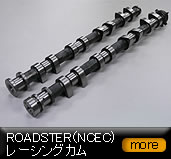 ���[�h�X�^�[�iNCEC)���[�V���O�J��