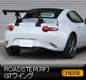 ���[�h�X�^�[/RF/GT�E�C���O